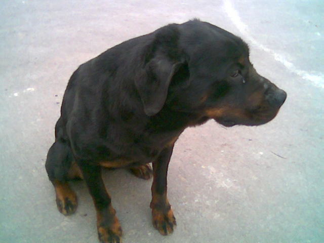 Snímka009.jpg